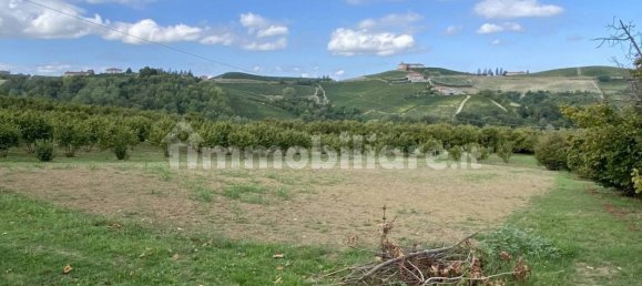 Lagerhaus in Montelupo Albese, Italy 39m², Nr. 365136 12
