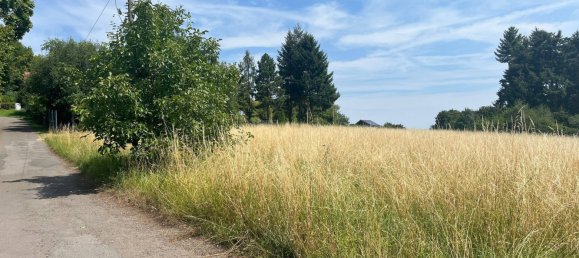 Terreno en Donnersbergkreis, Germany No. 27127 2