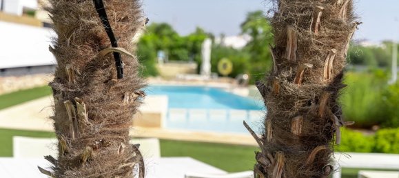 Ático de 3 dormitorios en Dehesa De Campoamor, Spain No. 188337 44