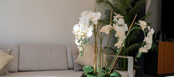 Ático de 3 dormitorios en Dehesa De Campoamor, Spain No. 188337 34