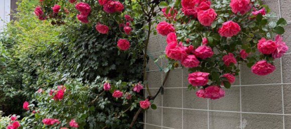 4 rooms Townhouse in Munich, Germany No. 342108 4