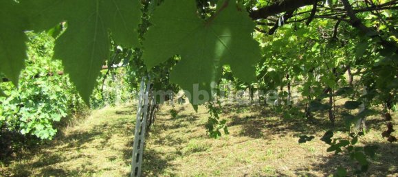 2 bedrooms House in Negrar, Italy No. 287454 21