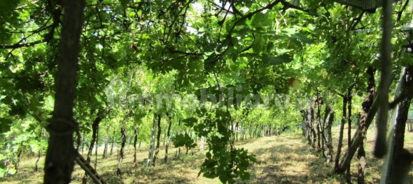 2 bedrooms House in Negrar, Italy No. 287454 20