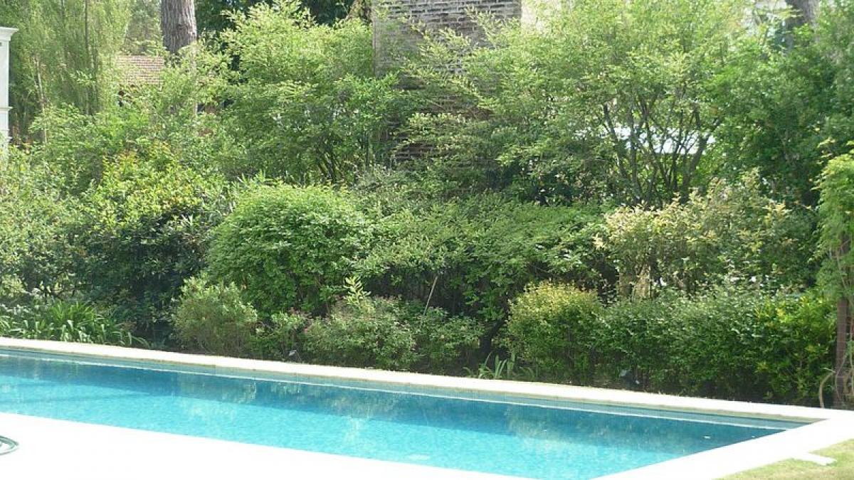 5 bedrooms House in Maldonado, Uruguay No. 6386