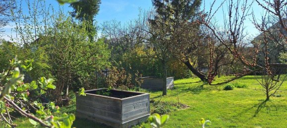 Дом с 5 комнатами в Вена, Австрия № 149283 8