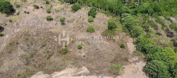  Land in Rawai, Thailand No. 60709 5