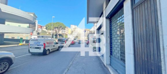 2 rooms Commercial property in Trieste, Italy No. 34974 20