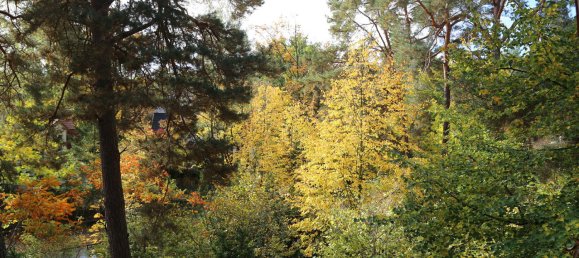 4 غرف نوم تاون هاوس في Potsdam-Mittelmark, Germany رقم 280816 53