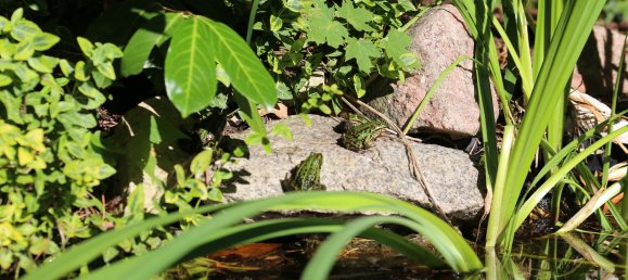 4 غرف نوم تاون هاوس في Potsdam-Mittelmark, Germany رقم 280816 46