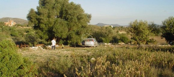 480m² Land in Sant Llorenc Des Cardassar, Spain No. 3967 2