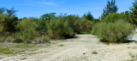  قطعة أرض في Grandola, Portugal 1725متر مربع رقم 110898 16