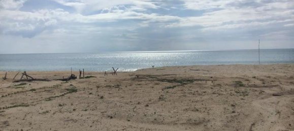 78400m² Commercial property in Khok Kloi, Thailand No. 8037 5