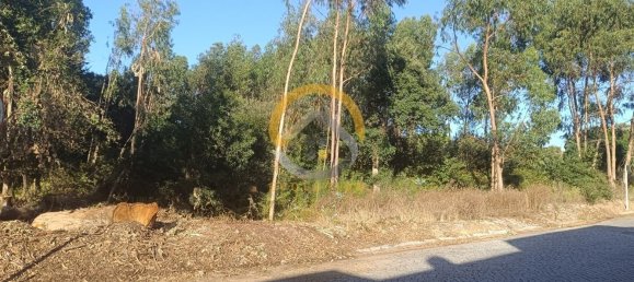 12400m² Land in Vila do Conde, Portugal No. 81486 2