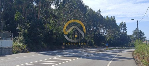 12400m² Land in Vila do Conde, Portugal No. 81486 5