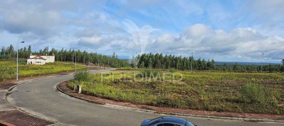 17500m² Land in Penacova, Portugal No. 146225 3