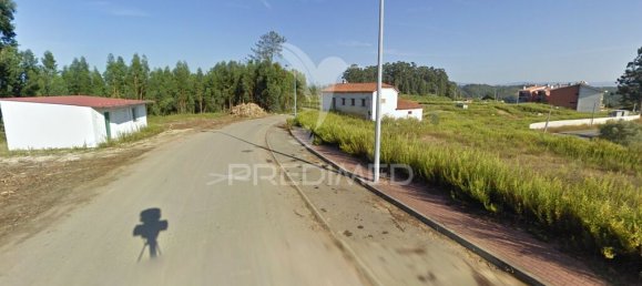 17500m² Land in Penacova, Portugal No. 146225 6