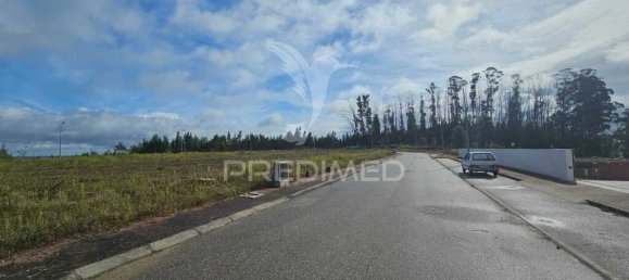 17500m² Land in Penacova, Portugal No. 146225 4