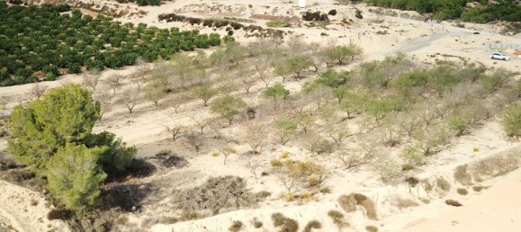 Земельный участок в Торремендо, Испания № 189117 8