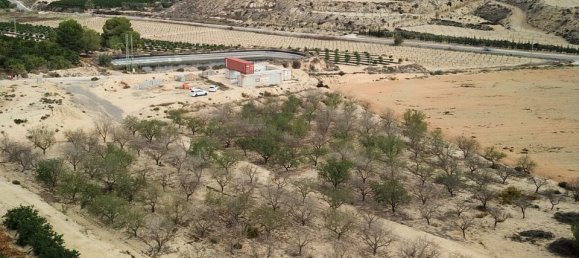 Земельный участок в Торремендо, Испания № 189117 7