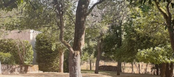  Land in Theding, France No. 234416 5