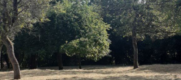  Land in Theding, France No. 234416 6