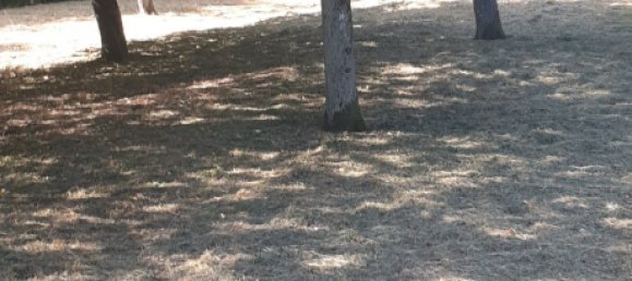  Land in Theding, France No. 234416 11