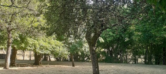  Land in Theding, France No. 234416 2