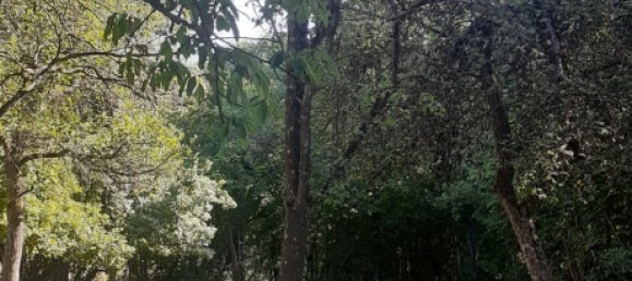  Land in Theding, France No. 234416 10