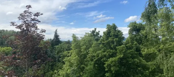 16 Schlafzimmer Hotel in Bodenseekreis, Germany, Nr. 41597 19