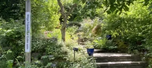 16 Schlafzimmer Hotel in Bodenseekreis, Germany, Nr. 41597 16