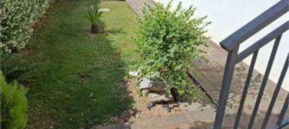 Villa de 4 divisões em Gorizia, Italy N.º 290526 10