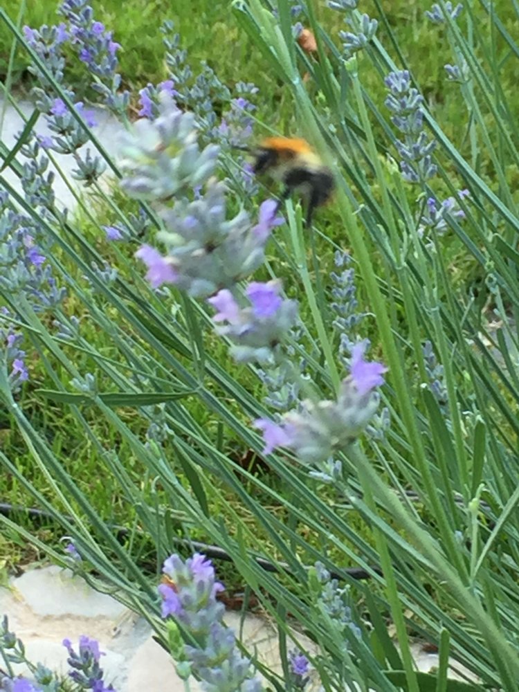  Land in Furstenfeldbruck, Germany No. 355986