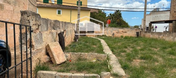 229m² Land in Ses Salines, Spain No. 148327 8