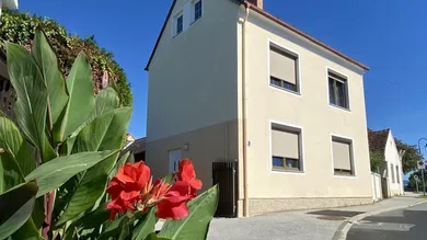 Дом с 5 комнатами в Гроспетерсдорф, Австрия № 236520