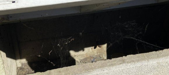 Дом с 5 комнатами в Гроспетерсдорф, Австрия № 236520 26