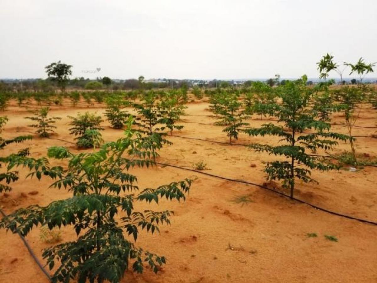  Land in Hyderabad, India No. 34079