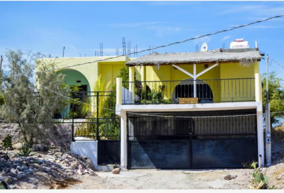 Studio in Baja California Sur, Mexico, Nr. 180946