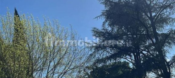 2 chambres Maison à Signa, Italy No. 100209 18