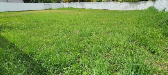 Земельный участок в Tallwoods Village, Австралия № 963 6