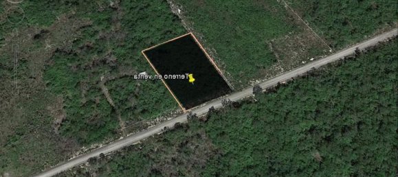 Grundstück in Merida, Mexico, Nr. 110296 2