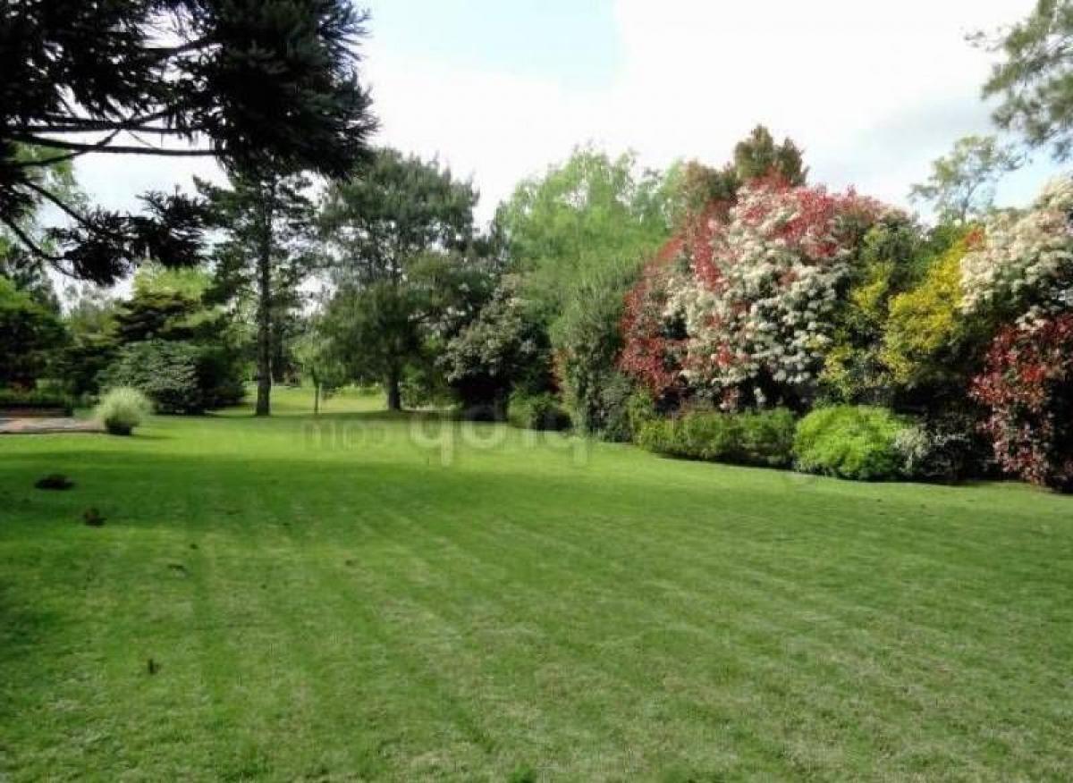 Terreno em Pilar, Argentina N.º 34978