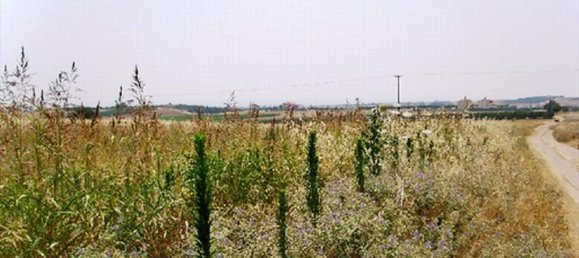 9600m² Hotel in Epanomi, Greece No. 7689 4