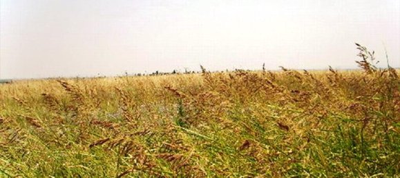 9600m² Hotel in Epanomi, Greece No. 7689 3