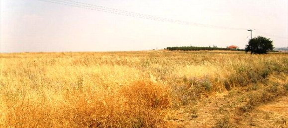 9600m² Hotel in Epanomi, Greece No. 7689 5