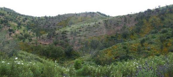 6 غرف نوم منزل في Sao Bartolomeu de Messines, Portugal رقم 32915 7