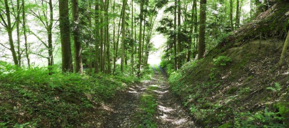 10 rooms Castles in Michelbach, Austria No. 154368 38