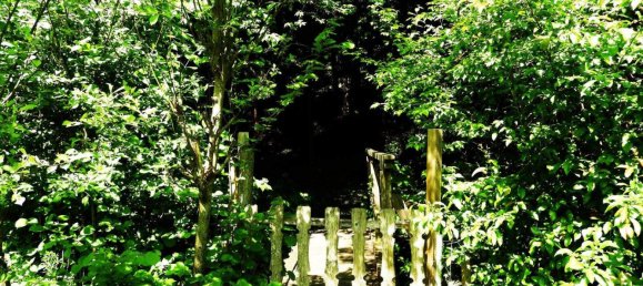 10 rooms Castles in Michelbach, Austria No. 154368 36