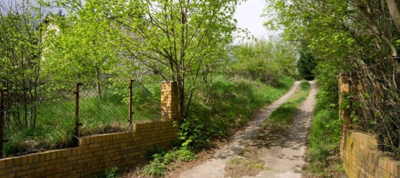 Grundstück in Potsdam-Mittelmark, Germany, Nr. 69047 2