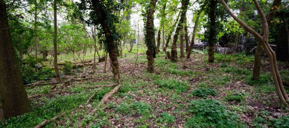 Grundstück in Potsdam-Mittelmark, Germany, Nr. 69047 5