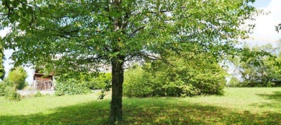 614m² Land in Tulbing, Austria No. 16092 6